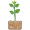 Ikona Roubování rostlin