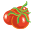Rajčata
