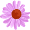 Ikona Třapatka (rudbékie)