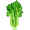 Ikona Celer