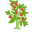 Ikona Keříčková rajčata