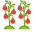 Ikona Tyčková rajčata