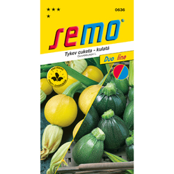 Tykev cuketa Směs kulatá Tykev cuketa Směs kulatá