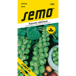 Kapusta růžičková Lunet F1 Kapusta růžičková Lunet F1