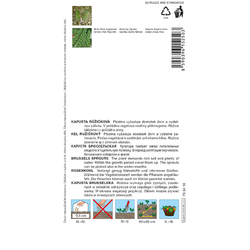 Kapusta růžičková Danet F1 - zadní obal