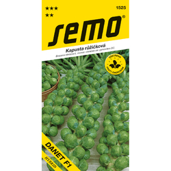 Kapusta růžičková Danet F1