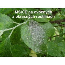 AGRO Mšice - Molice STOP spray 0,3g AGRO Mšice - Molice STOP spray 0,3g