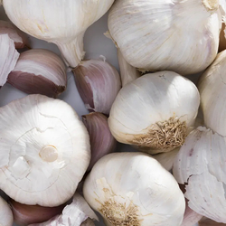 Česnek Bjetin - 0,5 kg Česnek Bjetin - 0,5 kg