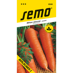 Mrkev obecná Berlikumer 2 (Romosa) Mrkev obecná Berlikumer 2 (Romosa)