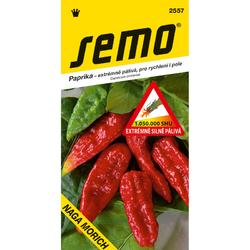 Paprika Naga Morich Paprika Naga Morich