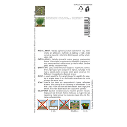 Pažitka pravá Erecta Pažitka pravá Erecta