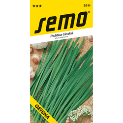 Pažitka čínská Geisha Pažitka čínská Geisha