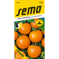 Rajče keříčkové Oranže