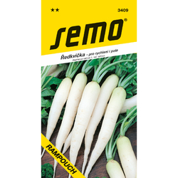 Ředkvička Rampouch Ředkvička Rampouch