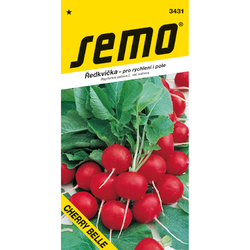 Ředkvička Cherry Belle Ředkvička Cherry Belle