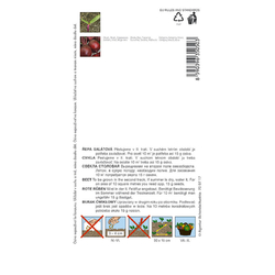 Řepa salátová Monopoly