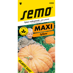 Tykev velkoplodá Atlantic Giant