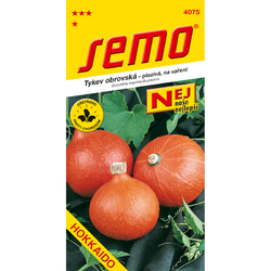 Tykev velkoplodá Hokkaido Orange