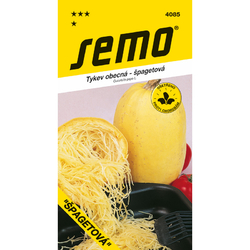 Tykev obecná Vegetable Spagheti Tykev obecná Vegetable Spagheti