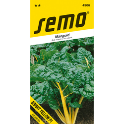 Mangold Bright yellow F1