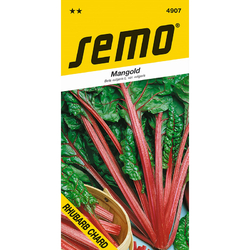 Mangold Rhubar Charb