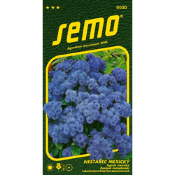Nestařec mexický Tetra Blue Mink