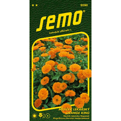 Měsíček lékařský oranžový