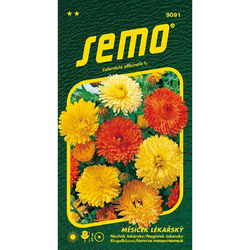 Měsíček lékařský Pacific Beauty směs