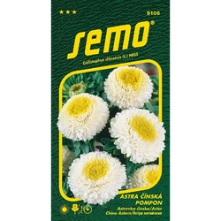Astra čínská Pompon White and Yellow