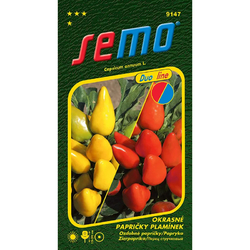 Papričky okrasné Plamínek