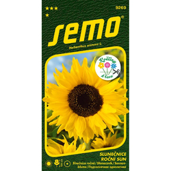 Slunečnice roční Sun Slunečnice roční Sun