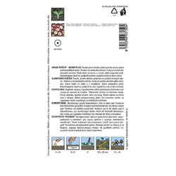 Smilek růžový (nesmrtelka) směs Smilek růžový (nesmrtelka) směs