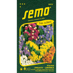 Statice sinuata (limonka) směs