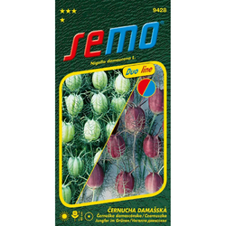 Černucha damašská Duo Mix