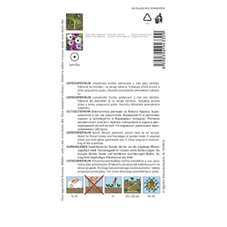 Osteospermum Balade mix Osteospermum Balade mix