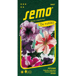 Petunie Superbissima směs Petunie Superbissima směs