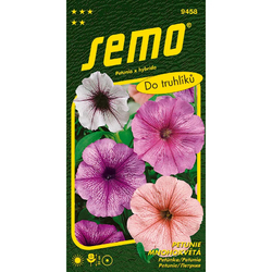 Petunie mnohokvětá směs s orchid hvězdou Petunie mnohokvětá směs s orchid hvězdou