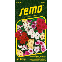 Plaménka (flox) Beauty směs