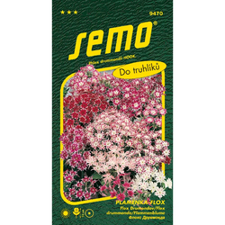 Plaménka (flox) Cuspidata směs