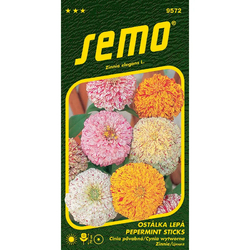 Ostálka lepá Pepermint Sticks Ostálka lepá Pepermint Sticks