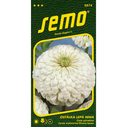 Ostálka lepá Nina Ostálka lepá Nina