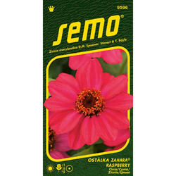Ostálka Zahara Raspberry Ostálka Zahara Raspberry