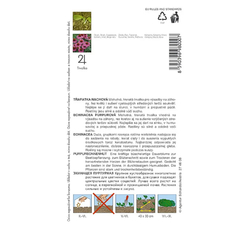 Třapatka nachová - purpurově růžová Třapatka nachová - purpurově růžová