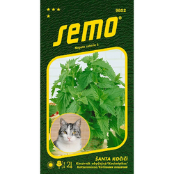 Šanta kočičí - Cat Grass