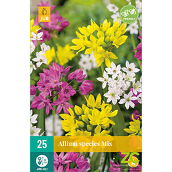 Allium Species mix - 25 ks Allium Species mix - 25 ks