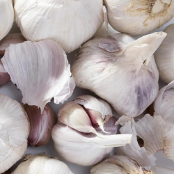 Česnek Rusák 0,25 kg Česnek Rusák 0,25 kg