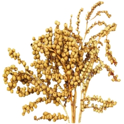 Dekorace - Canella cobs přírodní 250 g bobule