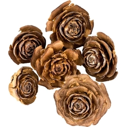 Dekorace - Cedar rose 3 - 5 cm 6 ks Dekorace - Cedar rose 3 - 5 cm 6 ks