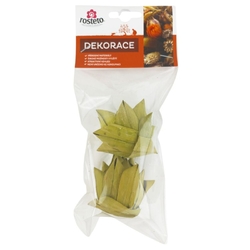 Dekorace - Khejur artichoke apple green 6 cm 2 ks balení