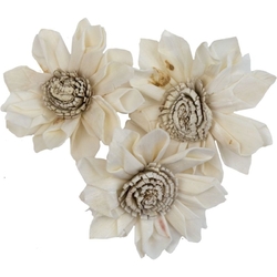 Dekorace - Sola Folded Star Protea 6 cm - 3 ks Dekorace - Sola Folded Star Protea 6 cm - 3 ks